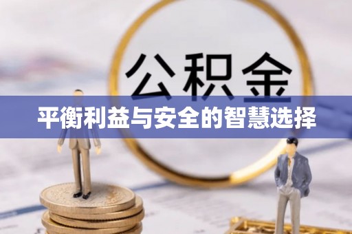 竹田平衡利益与安全的智慧选择