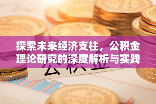 竹田探索未来经济支柱，公积金理论研究的深度解析与实践意义
