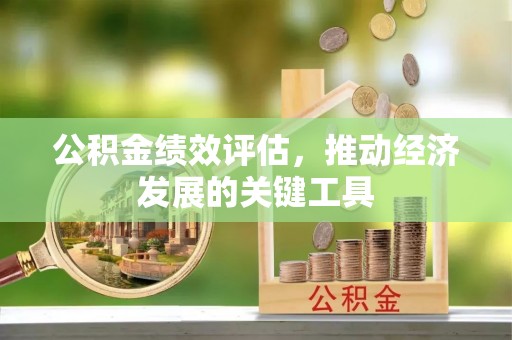 竹田公积金绩效评估，推动经济发展的关键工具