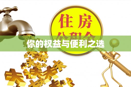 竹田你的权益与便利之选