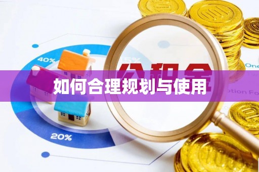竹田如何合理规划与使用