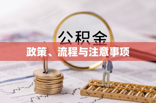竹田政策、流程与注意事项