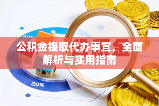 竹田公积金提取代办事宜，全面解析与实用指南