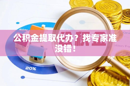 竹田公积金提取代办？找专家准没错！