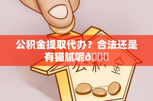 竹田公积金提取代办？合法还是有猫腻呢😏
