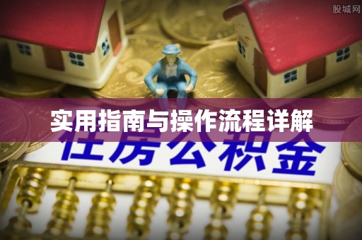 竹田实用指南与操作流程详解
