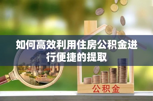 竹田如何高效利用住房公积金进行便捷的提取