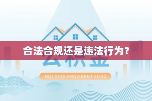 竹田合法合规还是违法行为？