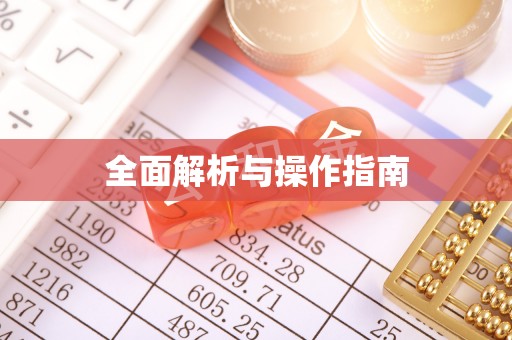 竹田全面解析与操作指南